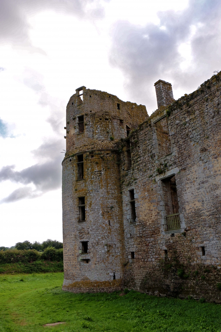 Château du Bois Thibaut - Lassay-les-Châteaux