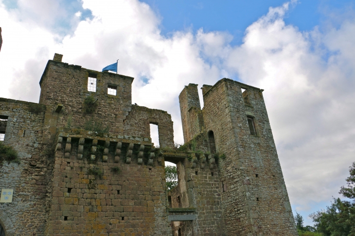 Château du Bois Thibaut - Lassay-les-Châteaux