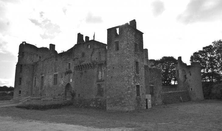 Château du Bois Thibaut - Lassay-les-Châteaux