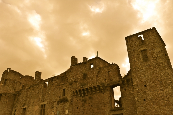 Château du Bois Thibaut - Lassay-les-Châteaux