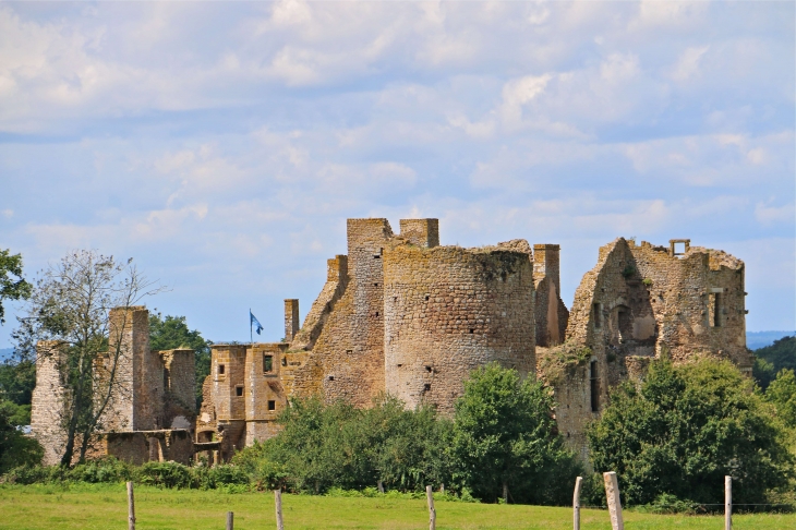 Château du Bois Thibaut - Lassay-les-Châteaux