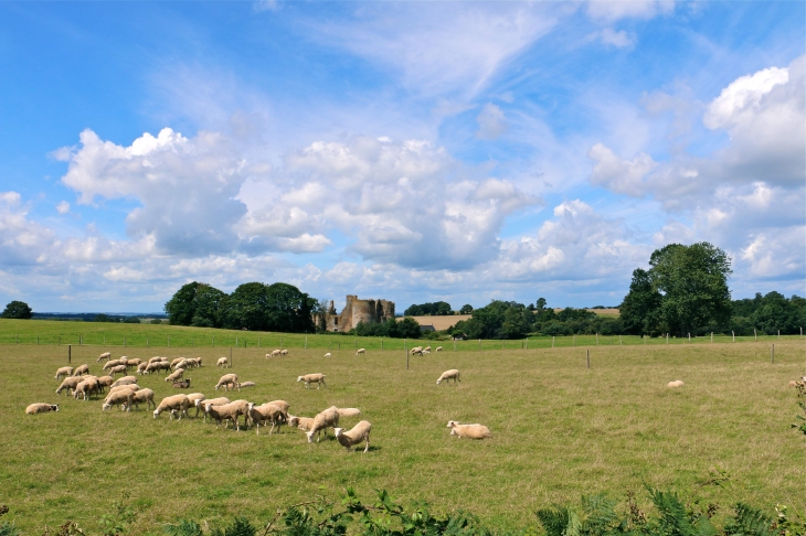 Château du Bois Thibaut - Lassay-les-Châteaux