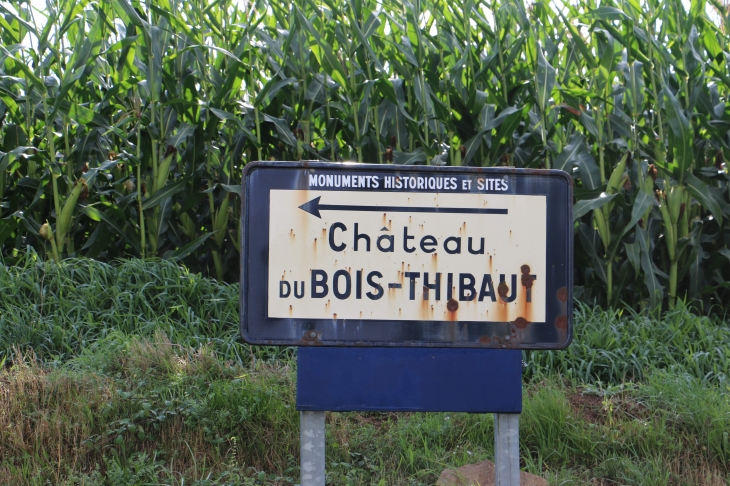 Château du Bois Thibaut - Lassay-les-Châteaux