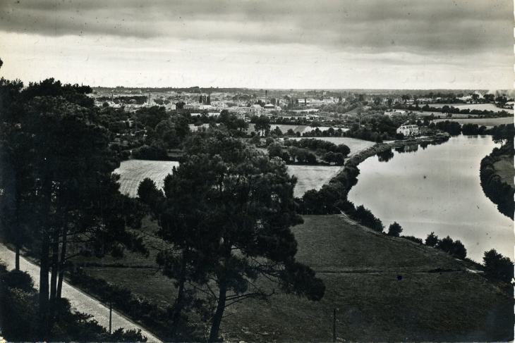 Panorama sur Avesnières, vue du Bas-des-Bois (carte postale de 1950) - Laval