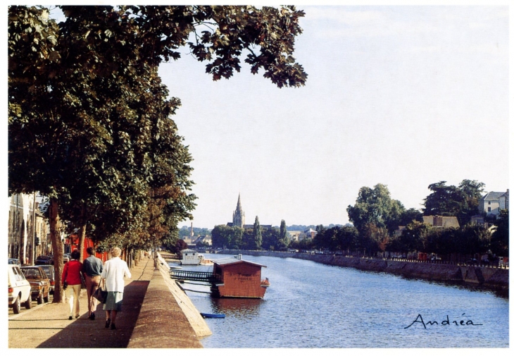 Les quais, la Mayenne et l'église d'Avesnière. (carte postale 1990). - Laval