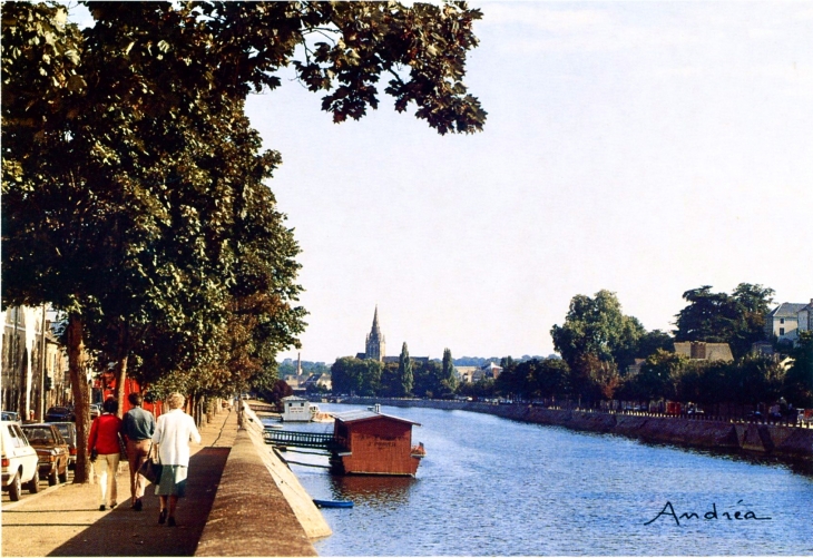 Les quais, la Mayenne, l'église d'Avesnière, vers 1980 (carte postale) - Laval