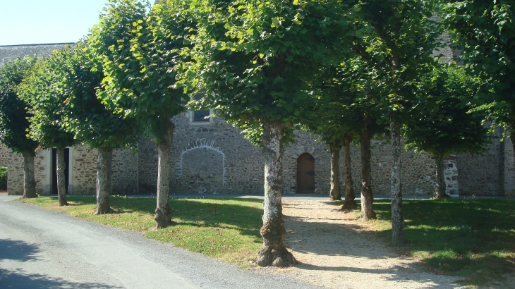 Allée d'arbres.Place de l'église - Longuefuye