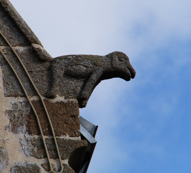 Gargouille. Eglise Saint Pierre. - Oisseau