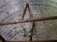 Plafond du transept nord, en coque de bâteau renversée. Eglise Saint Pierre.