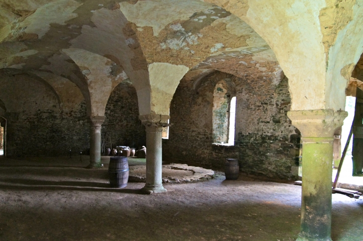 Le cellier : Abbaye de Clermont. - Olivet