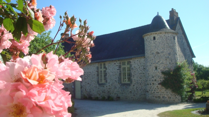 Mairie fleurie - Olivet