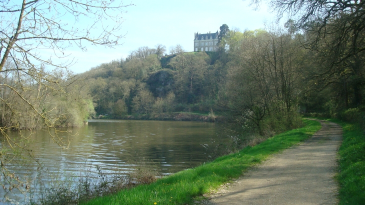 Vue sur le château de la Roche (1860) - Origné