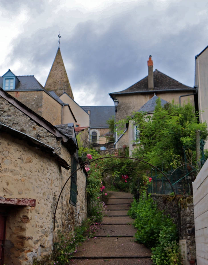 Roquet de la Cour Forêt - Parné-sur-Roc