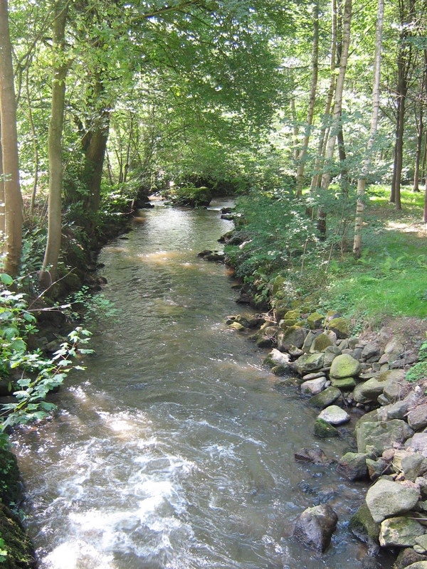 Canal forêt - Pontmain