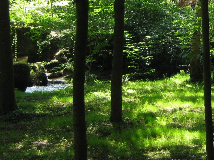 Forêt - Pontmain