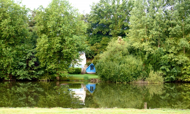 Les berges de la Mayenne. - Saint-Baudelle