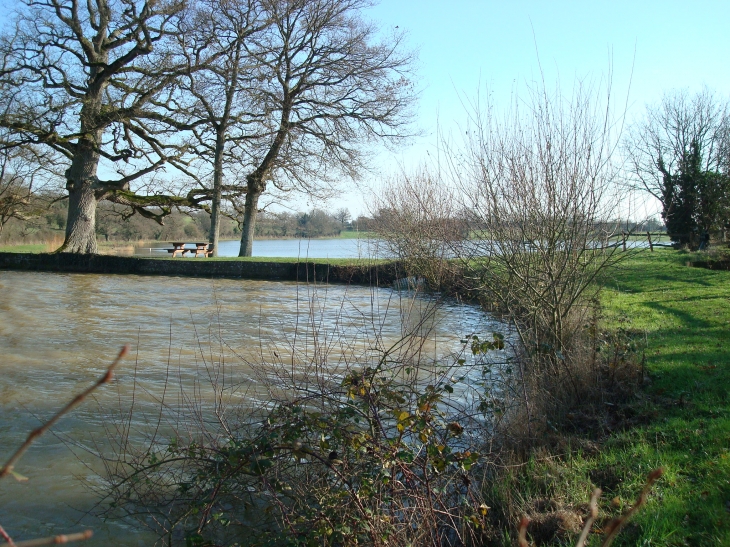 Plans d'eau de la Morinière - Saint-Denis-d'Anjou