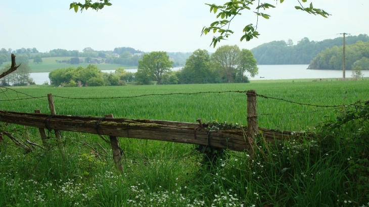 Vue sur  le plan d'eau... - Saint-Fraimbault-de-Prières