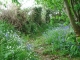 Chemin de randonnée au printemps