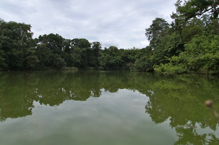 L'étang de Fontaine-Daniel : Dès le début de leur présence, les moines (1205) ont drainé le fond de la vallée en approfondissant le lit du ruisseau de 3 M. env. et en utilisant un mouvement de terrain pour établir un étang, puis un moulin. - Saint-Georges-Buttavent