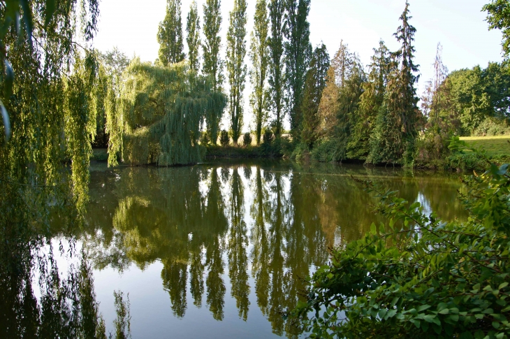 Un étang dans les environs. - Saint-Georges-Buttavent