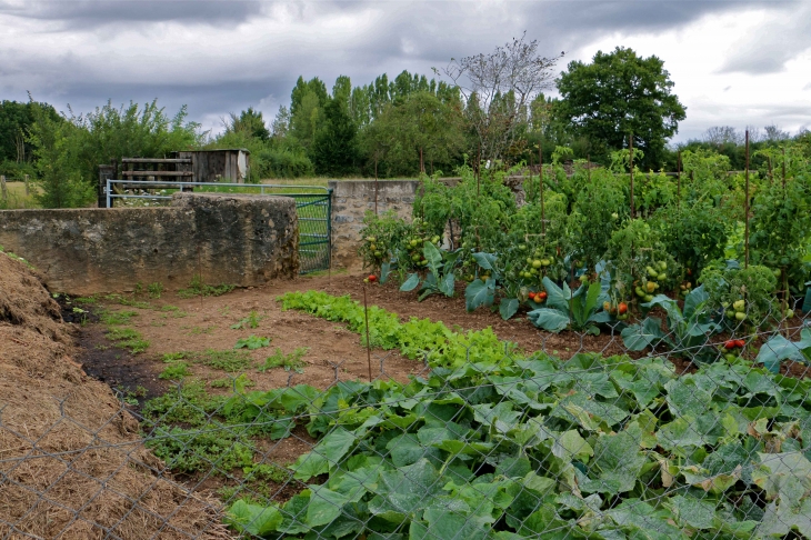 Beau jardin à l'ancienne - Saint-Loup-du-Dorat