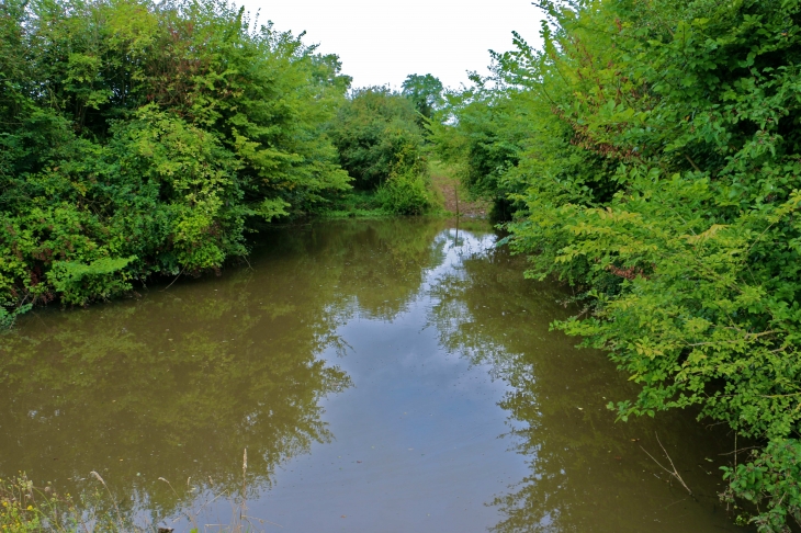 La mare du beau jardin à l'ancienne - Saint-Loup-du-Dorat