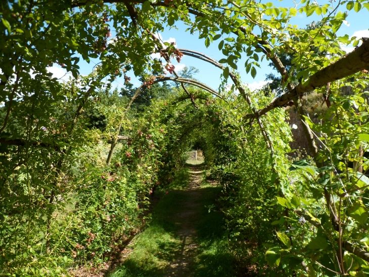 Jardin médieval - Sainte-Suzanne