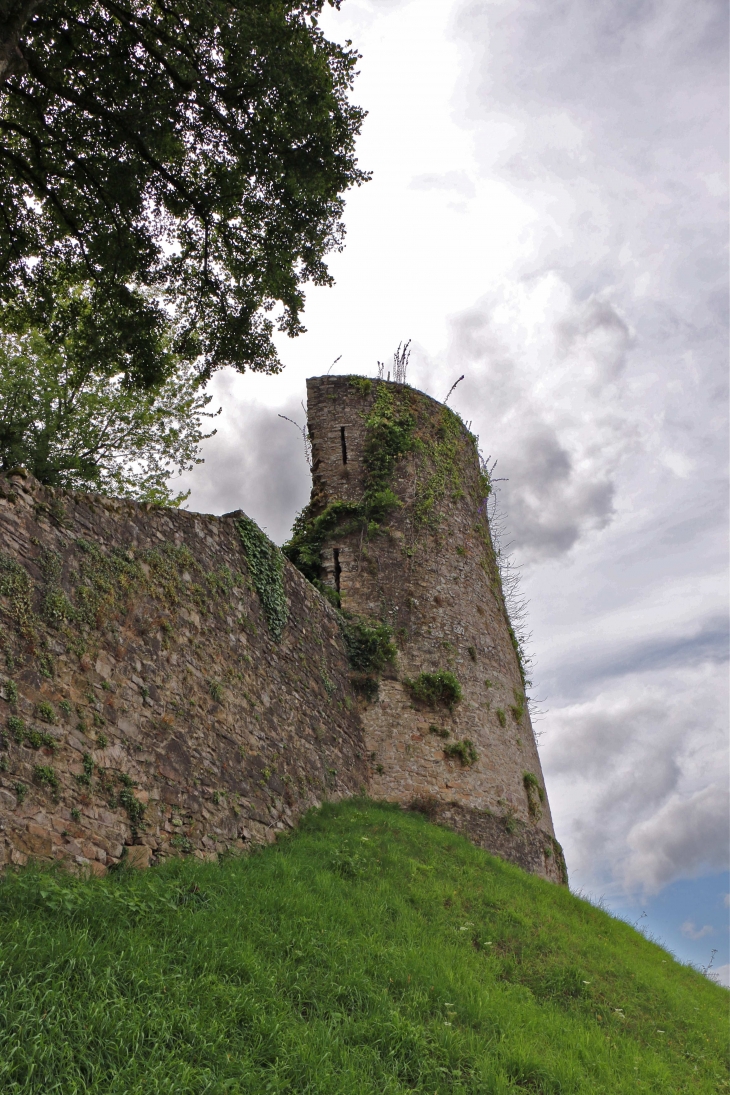 La tour du nord - Sainte-Suzanne