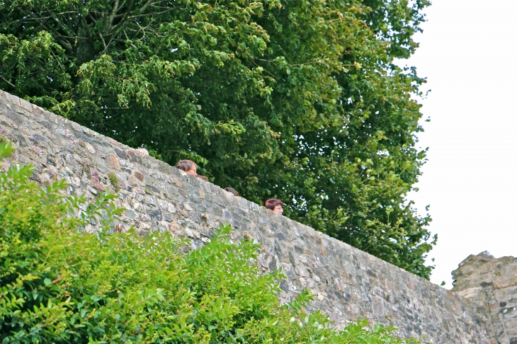 Du haut des remparts - Sainte-Suzanne