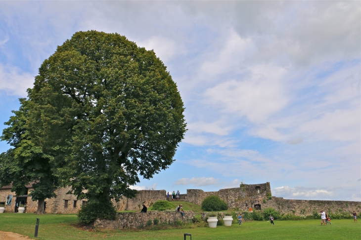 Dans la cour du château - Sainte-Suzanne