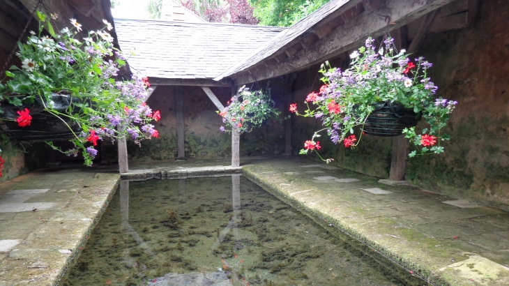 Magnifique lavoir fleuri au centre du village - Asnières-sur-Vègre