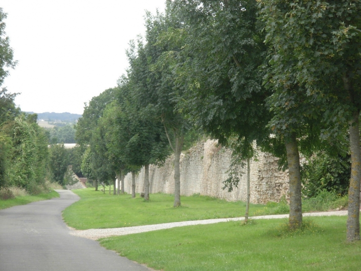Les Murs - Bourg-le-Roi
