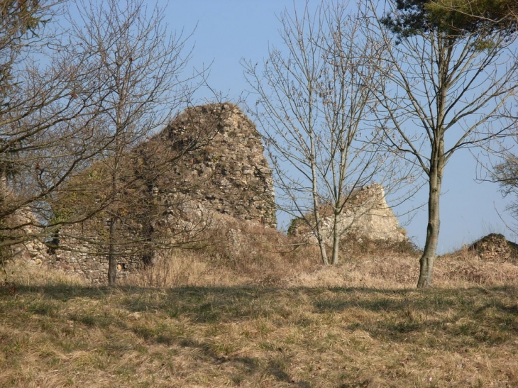 La Tour - Bourg-le-Roi