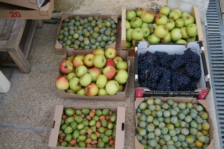 Les fruits de notre maison/jardin à Chahaignes