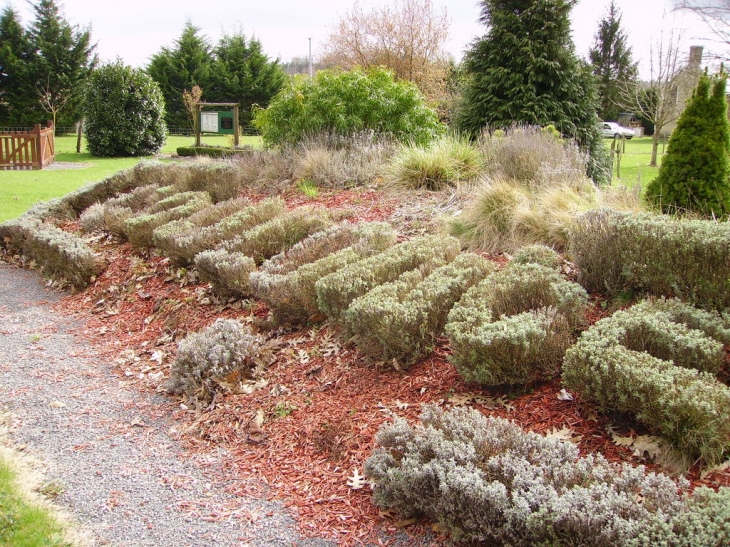 Représentation florale  de l'arboretum - Coulongé