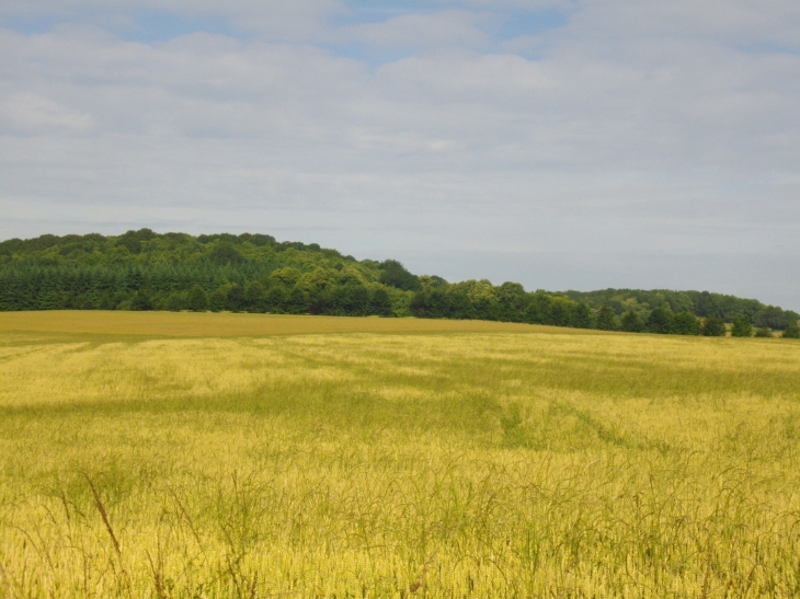 CAMPAGNE 3 - Gréez-sur-Roc