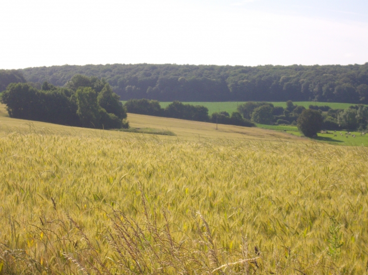 CAMPAGNE6 - Gréez-sur-Roc