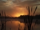 Photo suivante de La Chartre-sur-le-Loir Lever de soleil sur le lac de la Rougerie