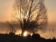 Photo précédente de La Chartre-sur-le-Loir Lever de soleil sur le lac de la Rougerie