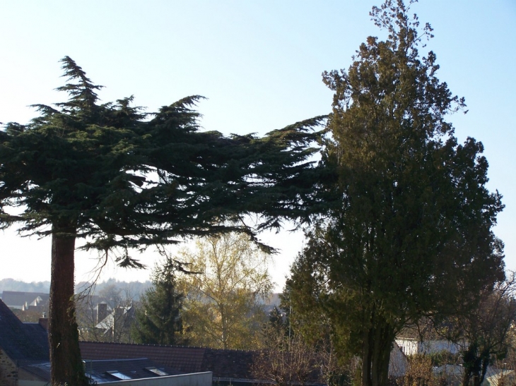 Place de l'Eglise - Louplande