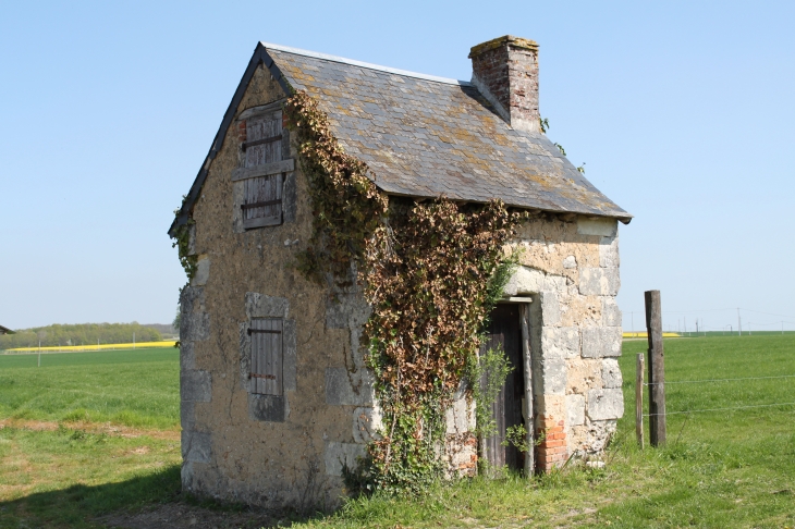 Petite maison de vignes - Marçon