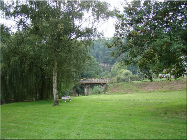 Les grands arbres près de la rivière - Saint-Léonard-des-Bois