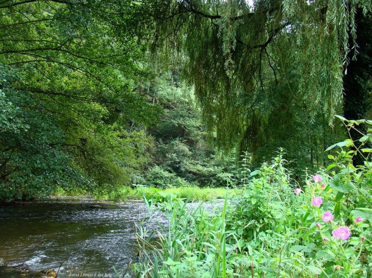 L'eau, la verdure, les fleurs: Saint Léonard des bois - Saint-Léonard-des-Bois