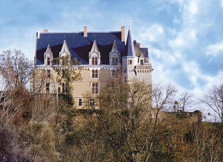 Château de Viré façade Ouest - Viré-en-Champagne