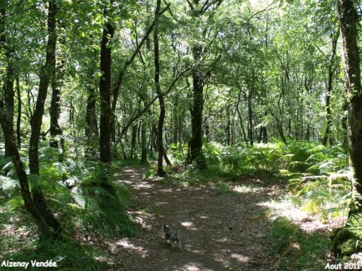 420 hectares de bonheur - Aizenay