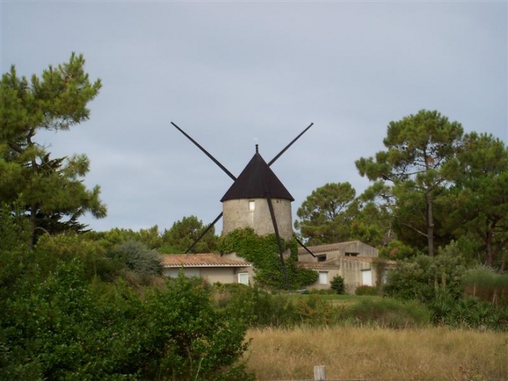 Moulin de la Fosse - Barbâtre