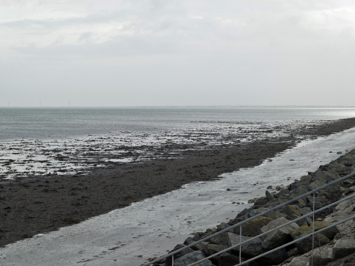 Vers le passage du Gois - Barbâtre