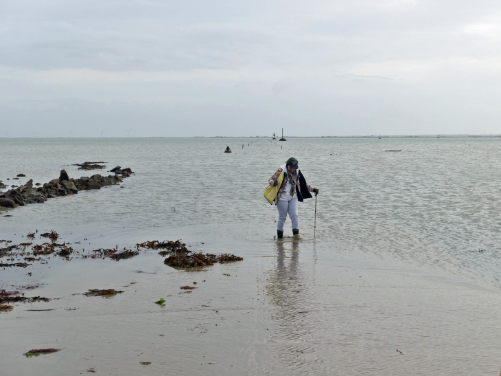 Les pieds dans l'eau - Barbâtre