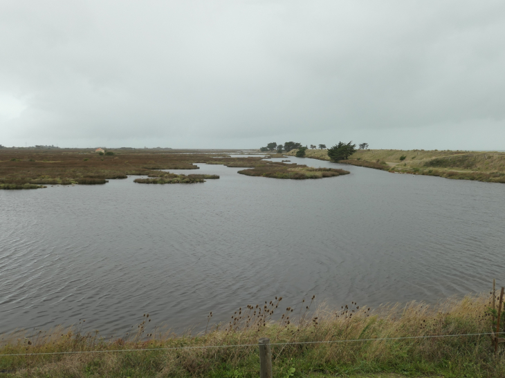 Le polder de Sébastopol réserve naturelle - Barbâtre